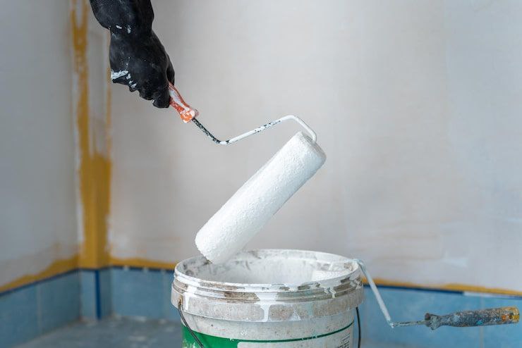 Peinture Professionnelle Kinshasa