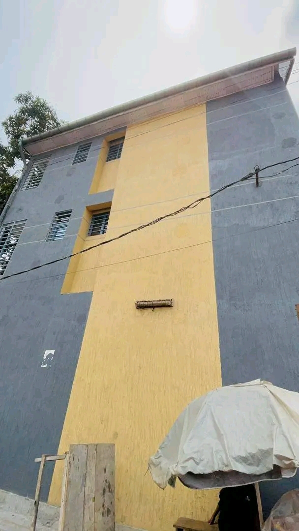 Projet de peinture IM COLOR sarl - Réalisation 26
